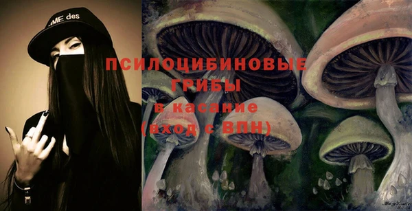 PSILOCYBIN Верхнеуральск